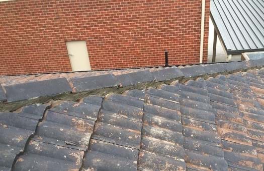 Cement Bedding Repair 5