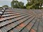 Roof Cleaning