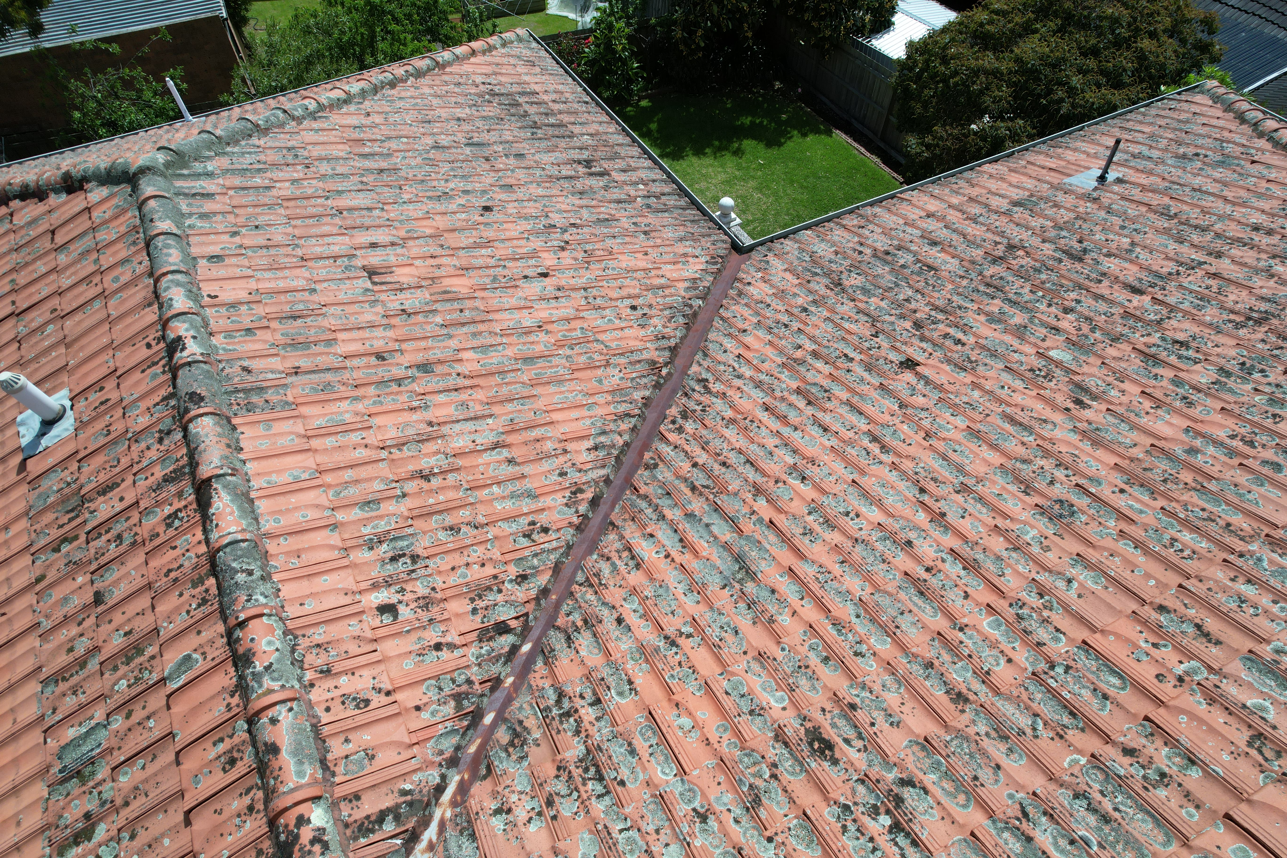 Terracotta Roof Restoration