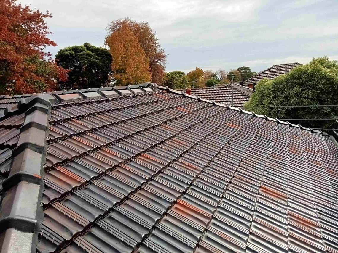 Terracotta Roof Restoration Blackburn Roof Guard
