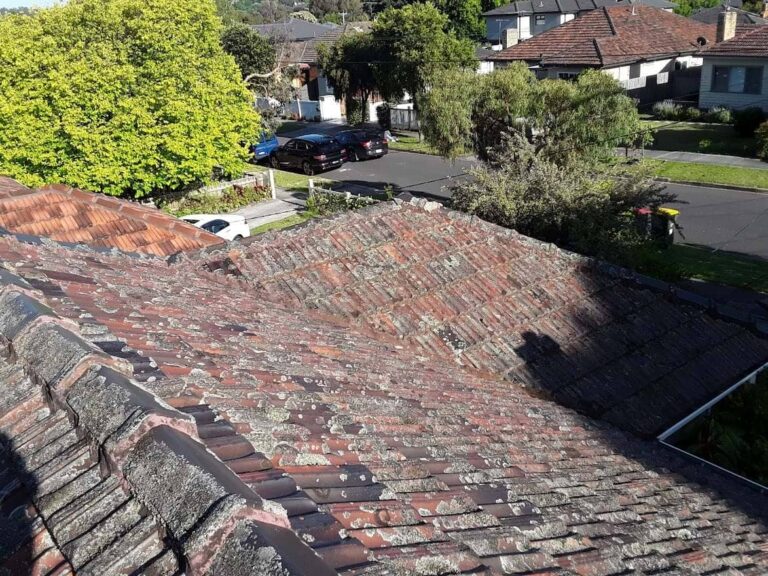 Box Hill South 1 Terracotta Roof Restoration (2)