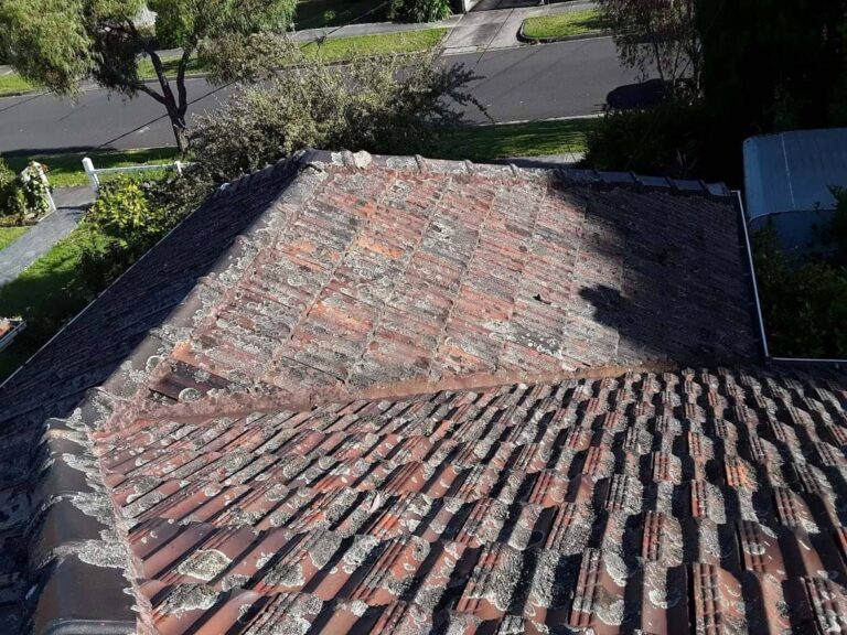 Box Hill South 1 Terracotta Roof Restoration (3)