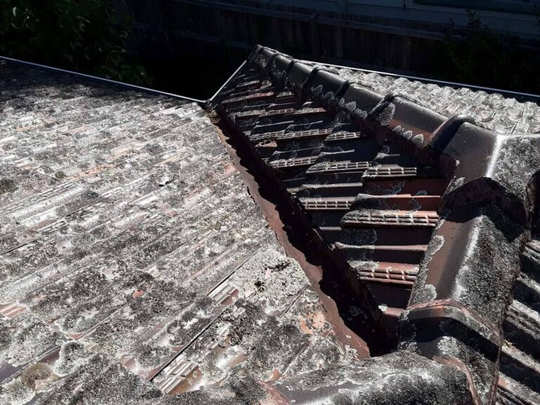 Box Hill South 1 Terracotta Roof Restoration (4)