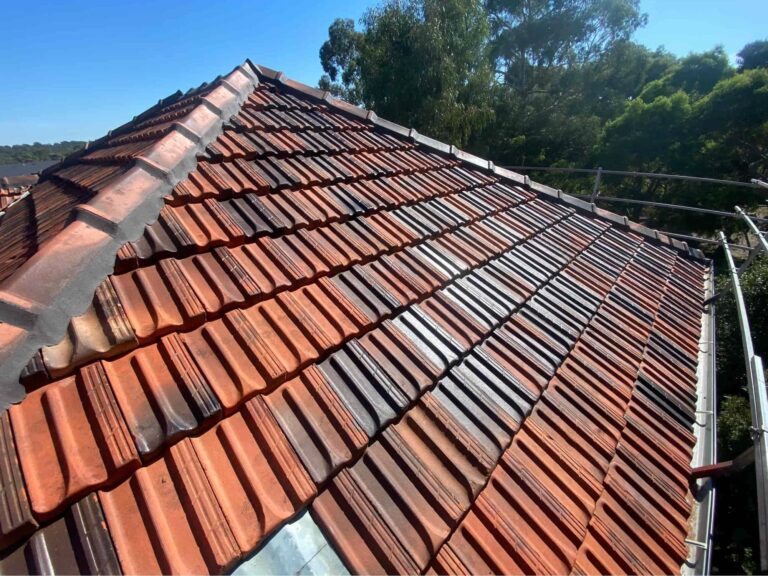 Box Hill South 2 Terracotta Roof Restoration (3)