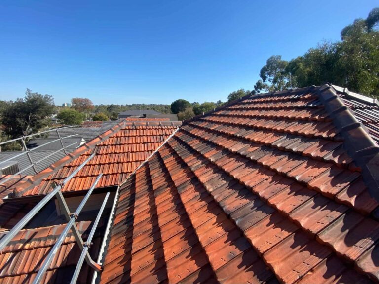 Box Hill South 2 Terracotta Roof Restoration (4)