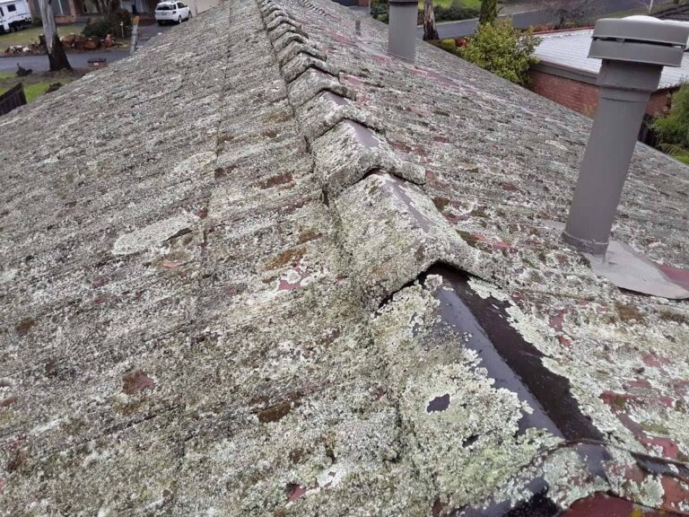 Lilydale 1 Terracotta Roof Restoration 002