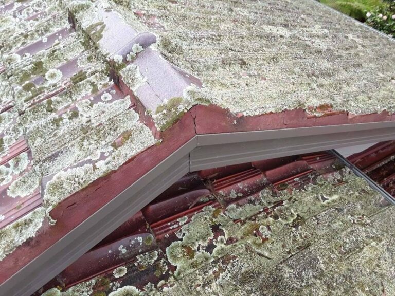 Lilydale 1 Terracotta Roof Restoration 003