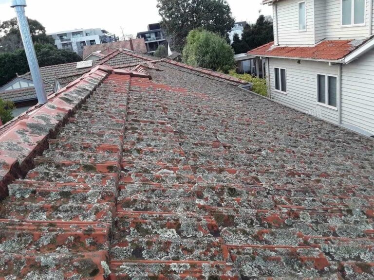 Malvern East 1 Terracotta Roof Restoration Project 003