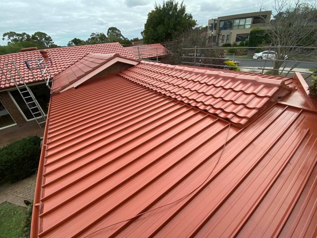 Roof Painting