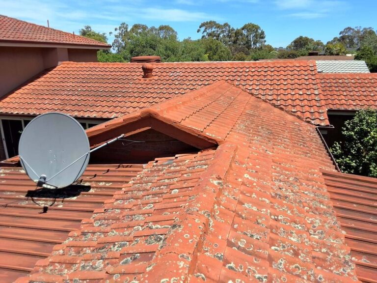 Roof Restoration Vermont South 1 004