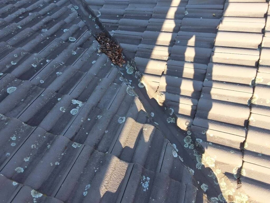 Roof Cleaning Before