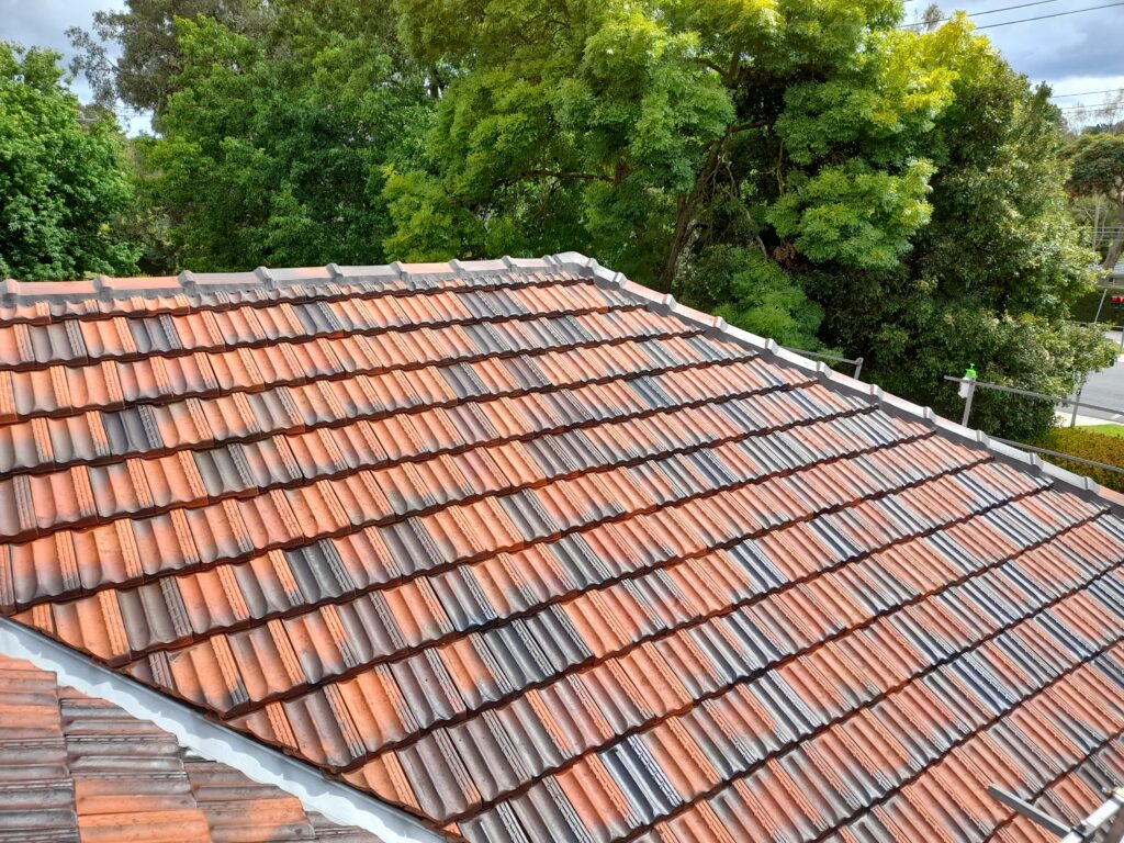 Roof Cleaning After