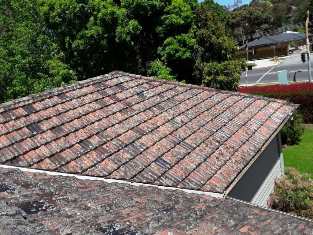 Roof Cleaning Before