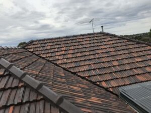 Roof Cleaning After