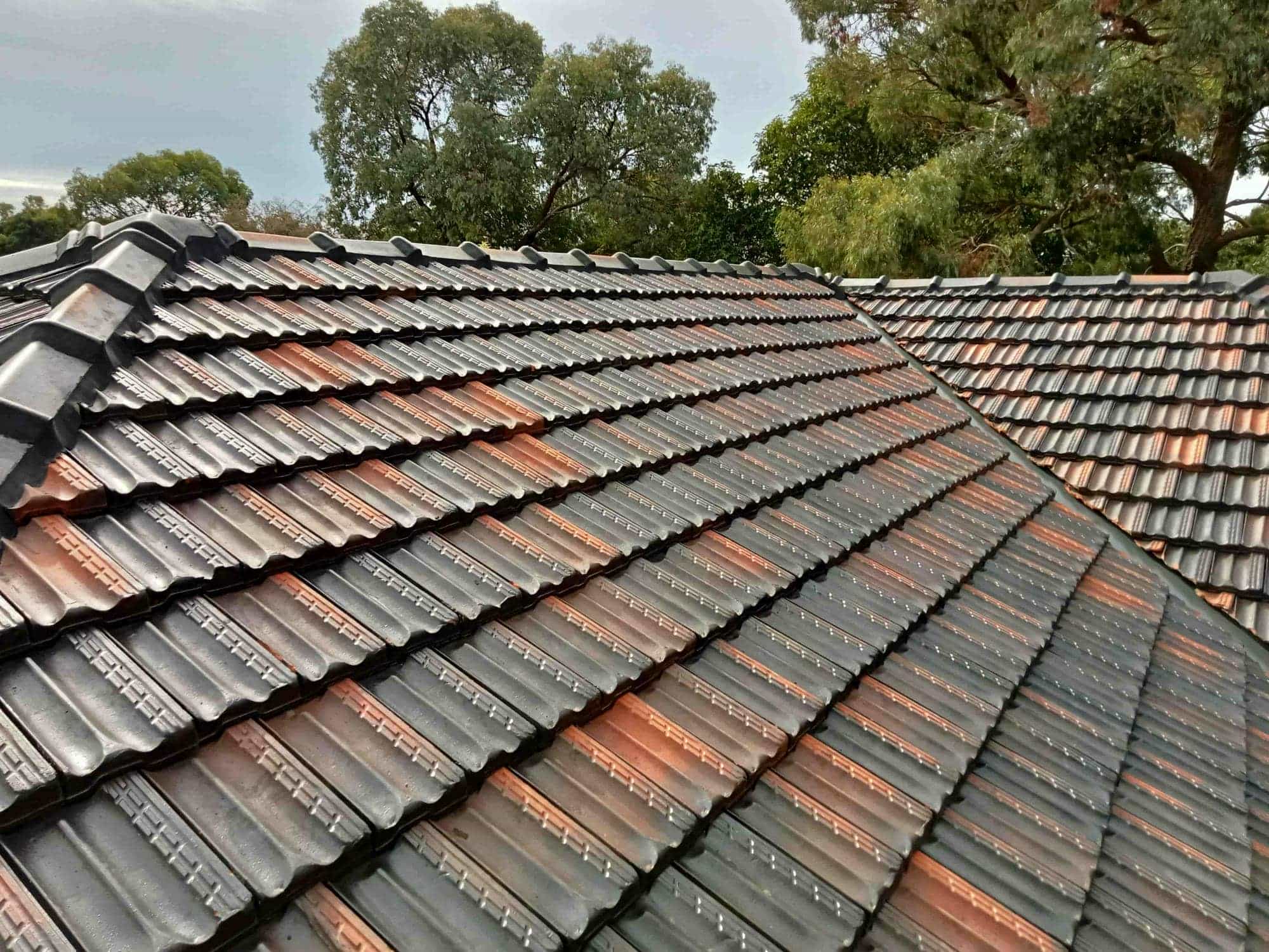 Terracotta roof restoration project photo in Blackburn