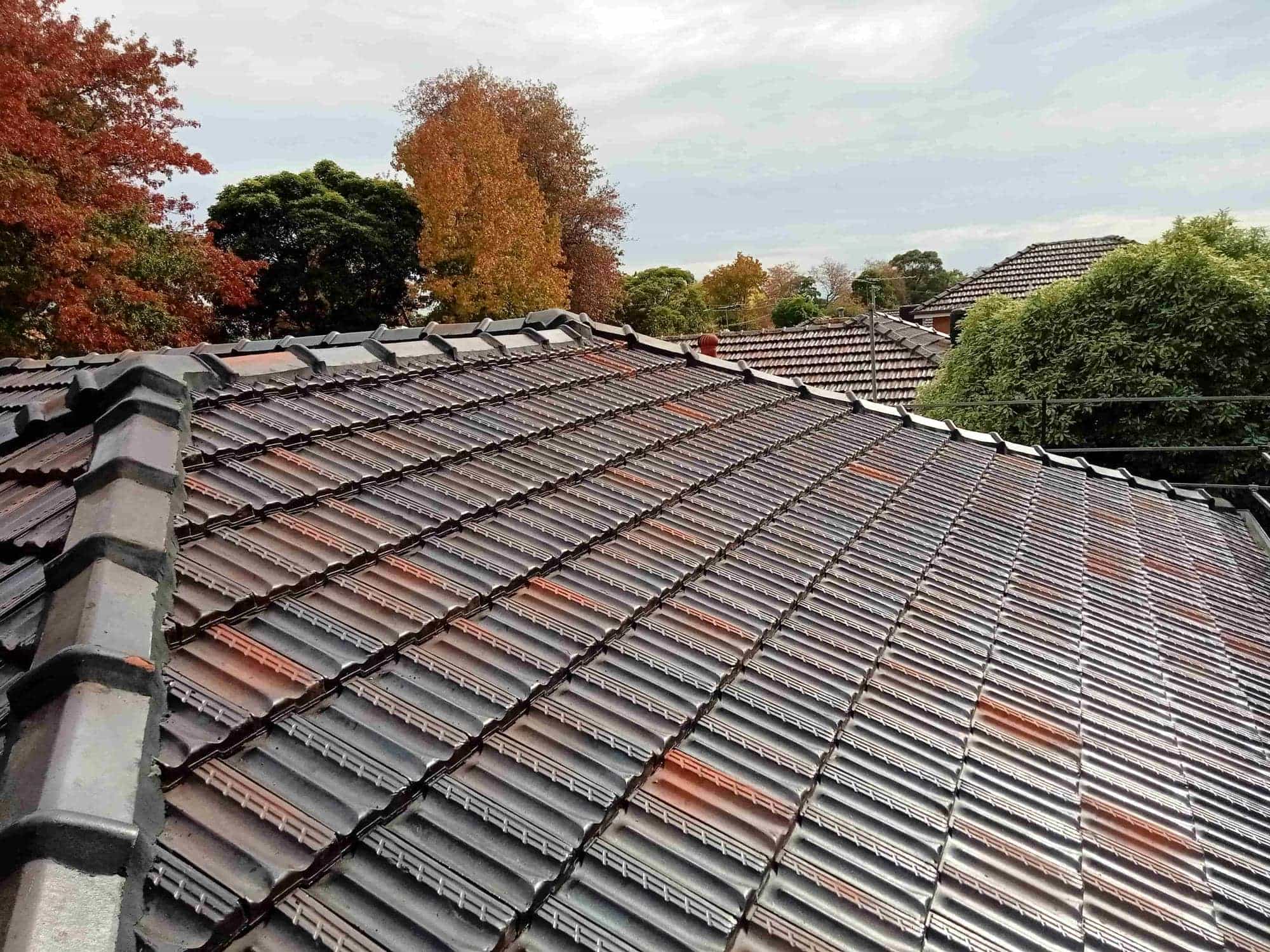Terracotta roof restoration project photo in Blackburn