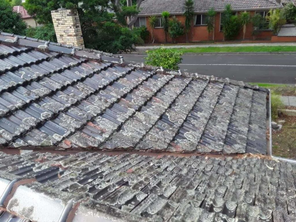 Terracotta roof restoration project photo in Blackburn
