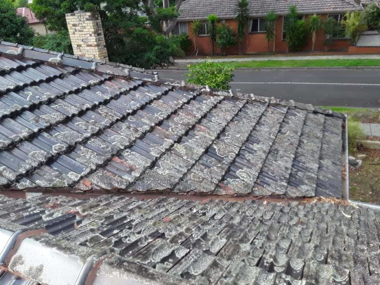 Terracotta roof restoration project photo in Blackburn