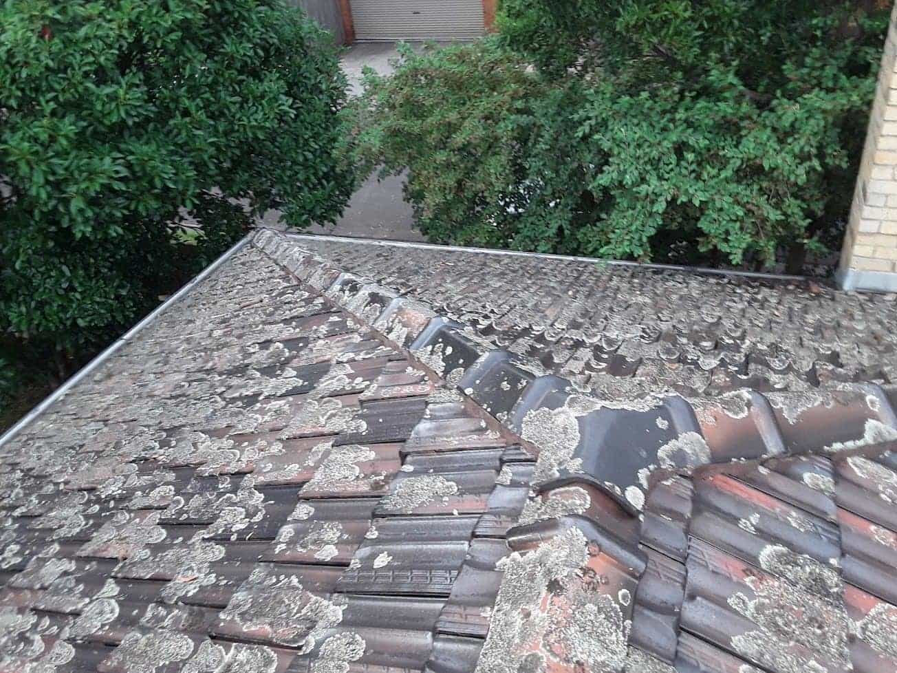 Terracotta roof restoration project photo in Blackburn