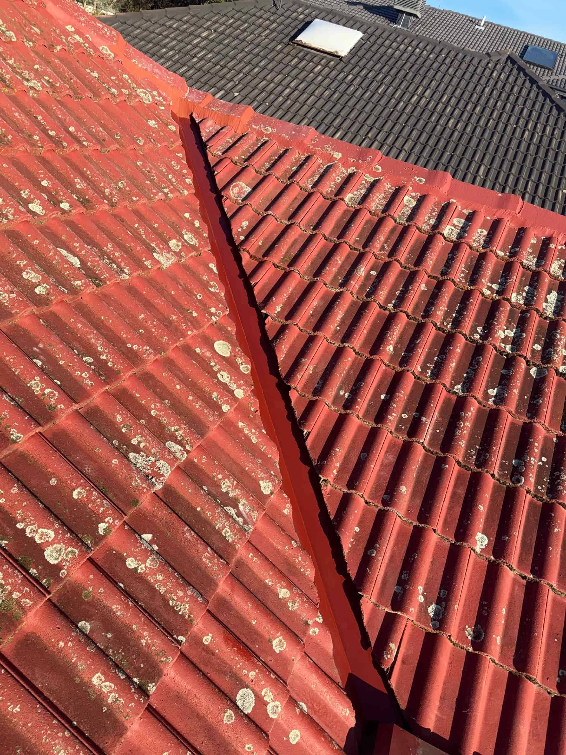Roof replacement project photo in Forest Hill