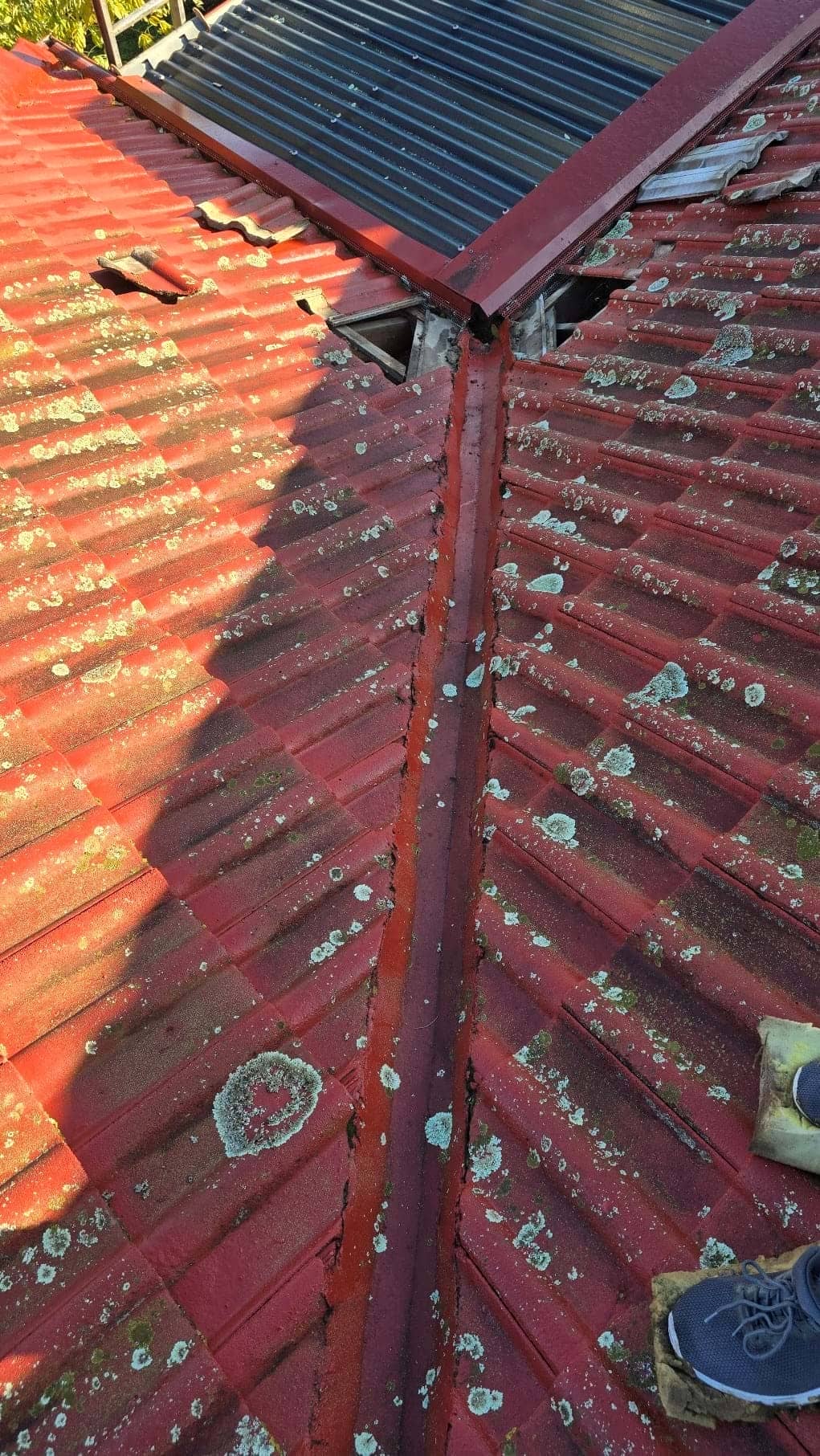 Roof replacement project photo in Forest Hill