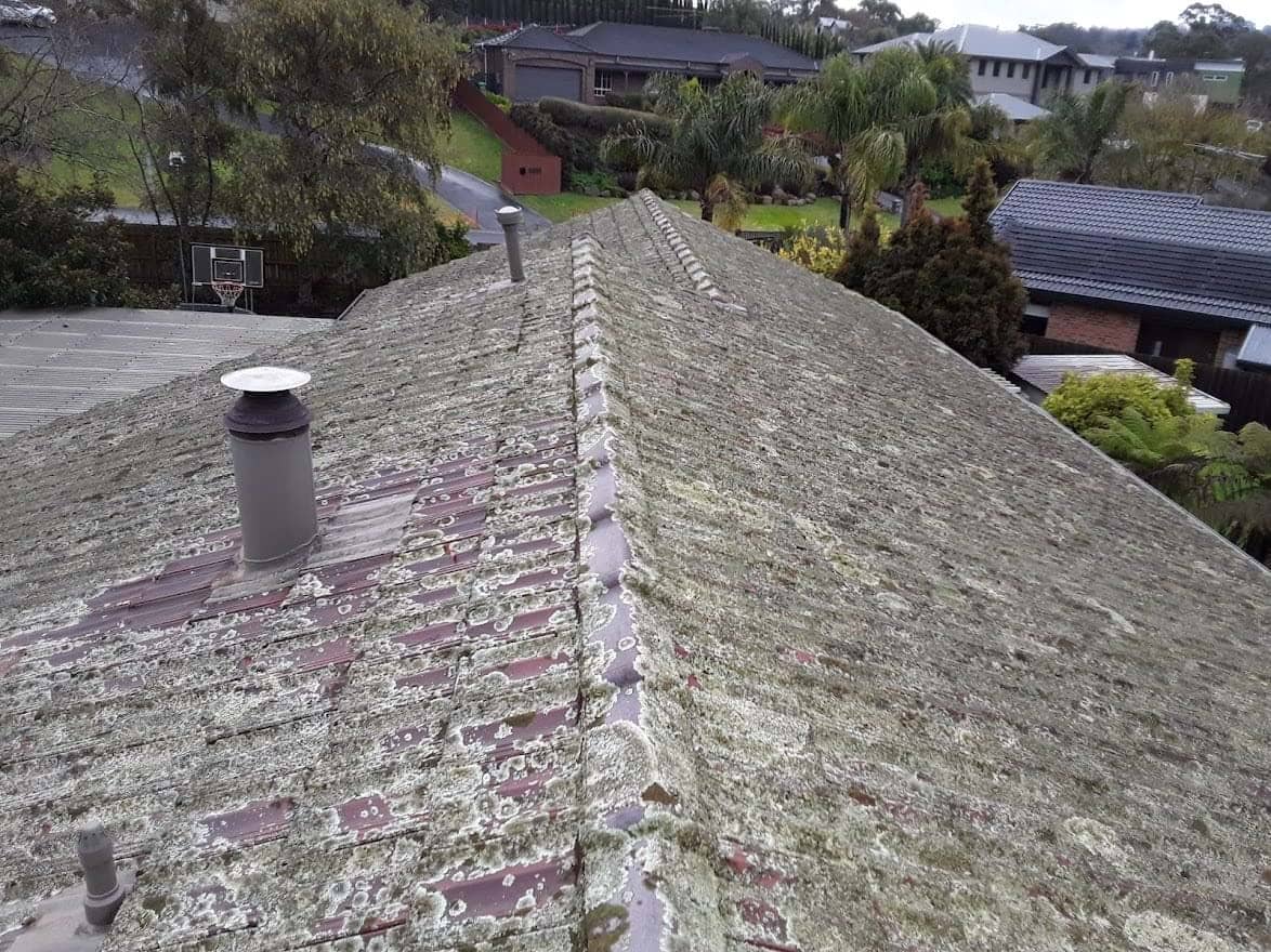 Terracotta roof restoration project photo in Lilydale