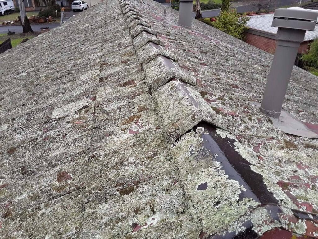 Terracotta roof restoration project photo in Lilydale