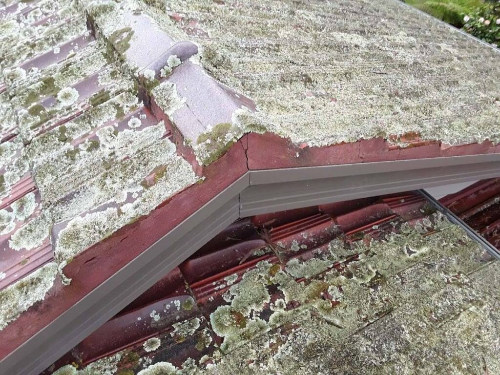 Terracotta roof restoration project photo in Lilydale