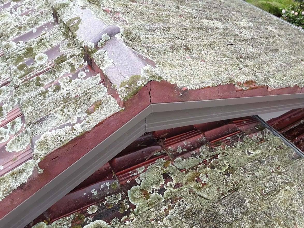 Terracotta roof restoration project photo in Lilydale