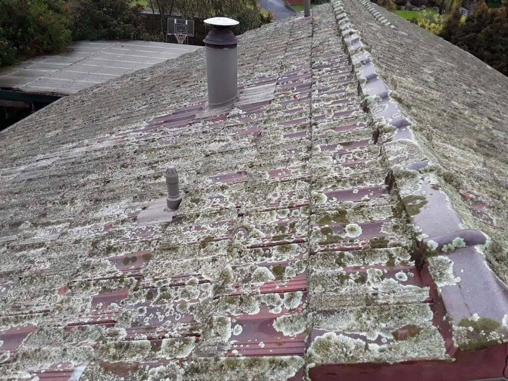 Terracotta roof restoration project photo in Lilydale