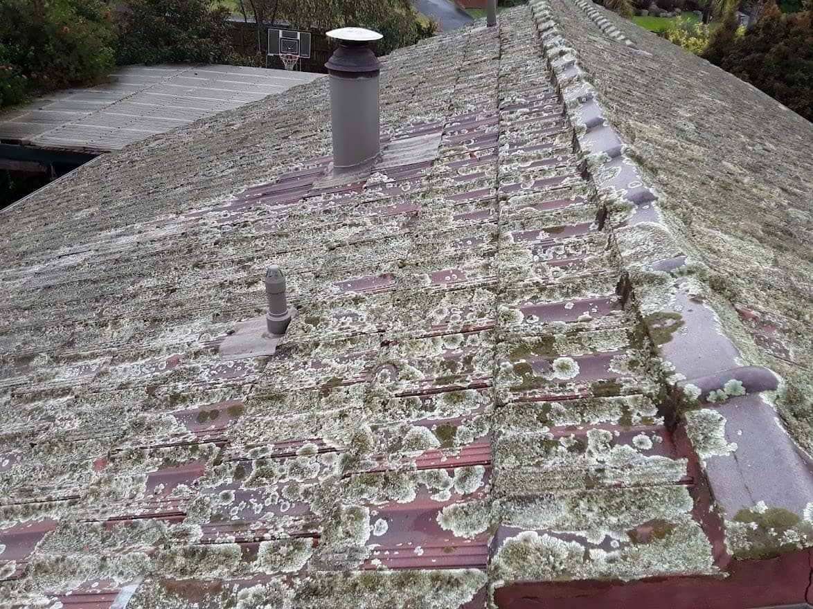 Terracotta roof restoration project photo in Lilydale