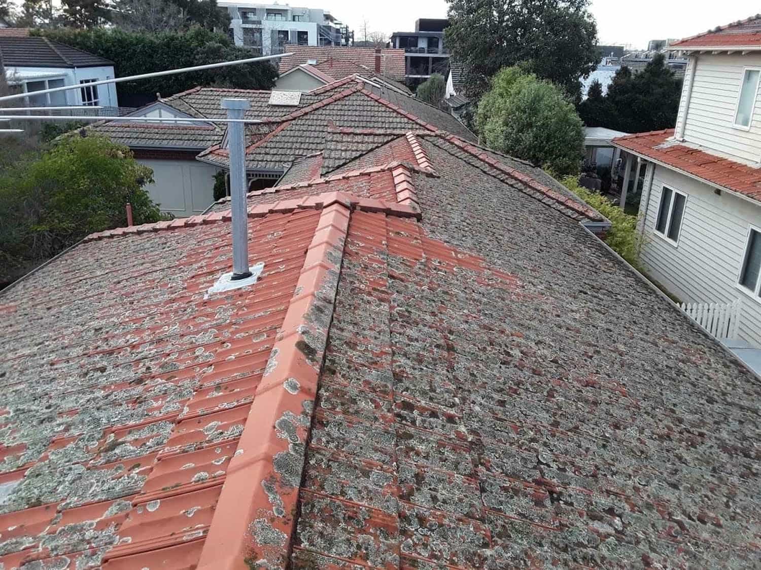 Terracotta roof restoration project photo in Malvern East