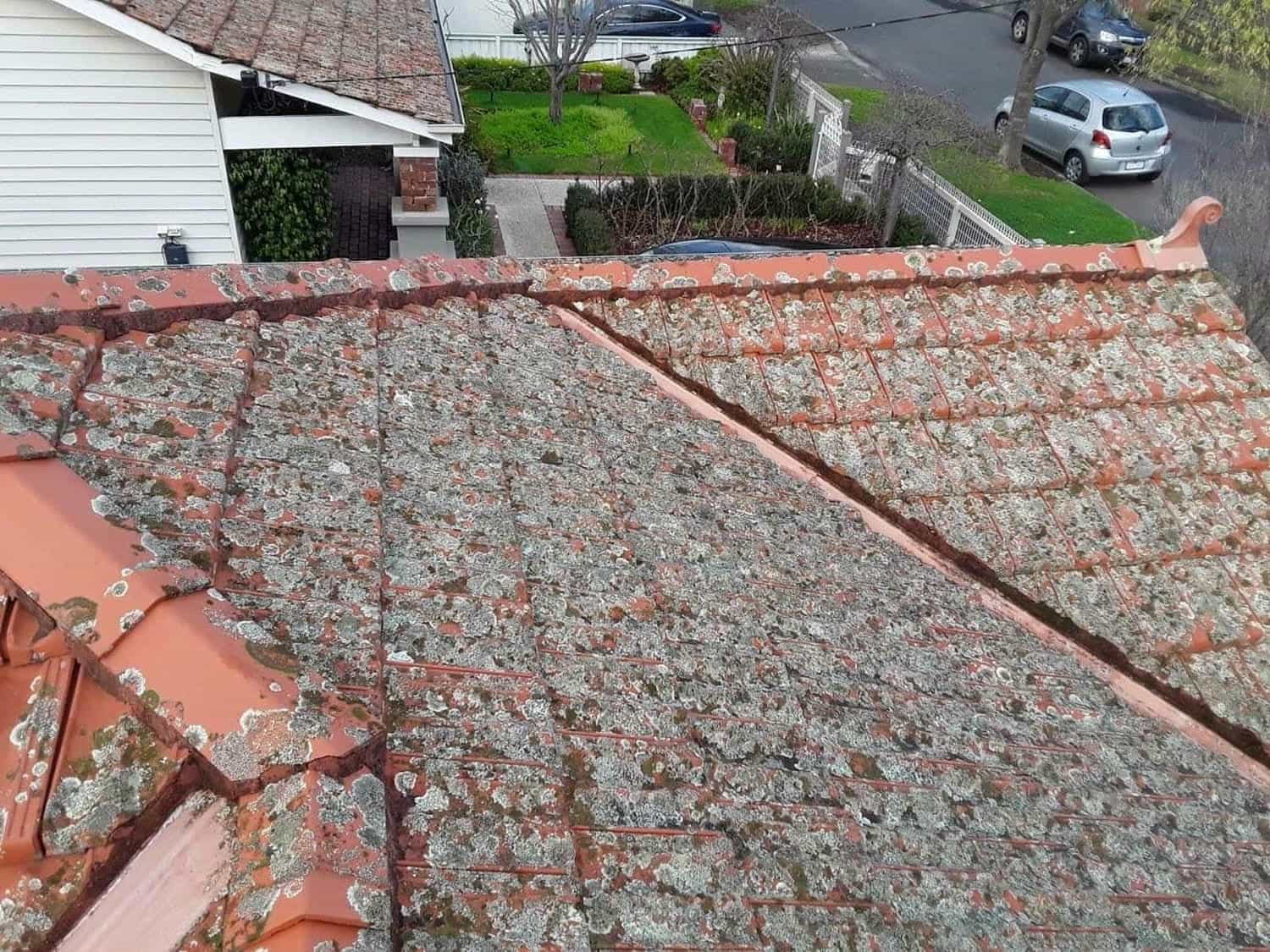 Terracotta roof restoration project photo in Malvern East
