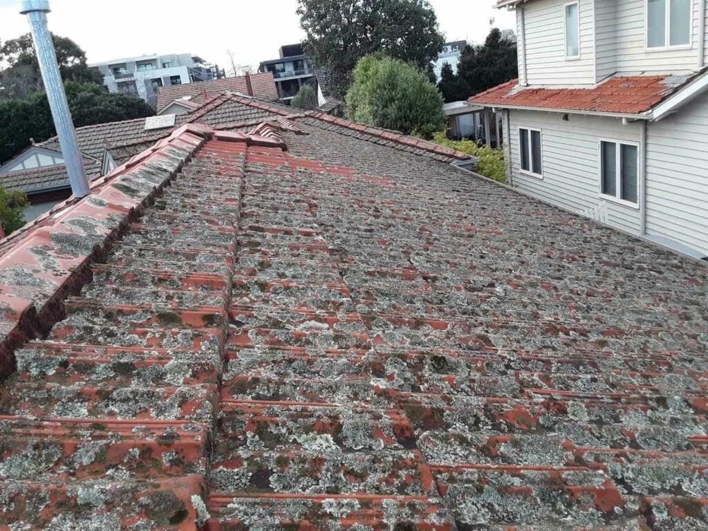 Terracotta roof restoration project photo in Malvern East
