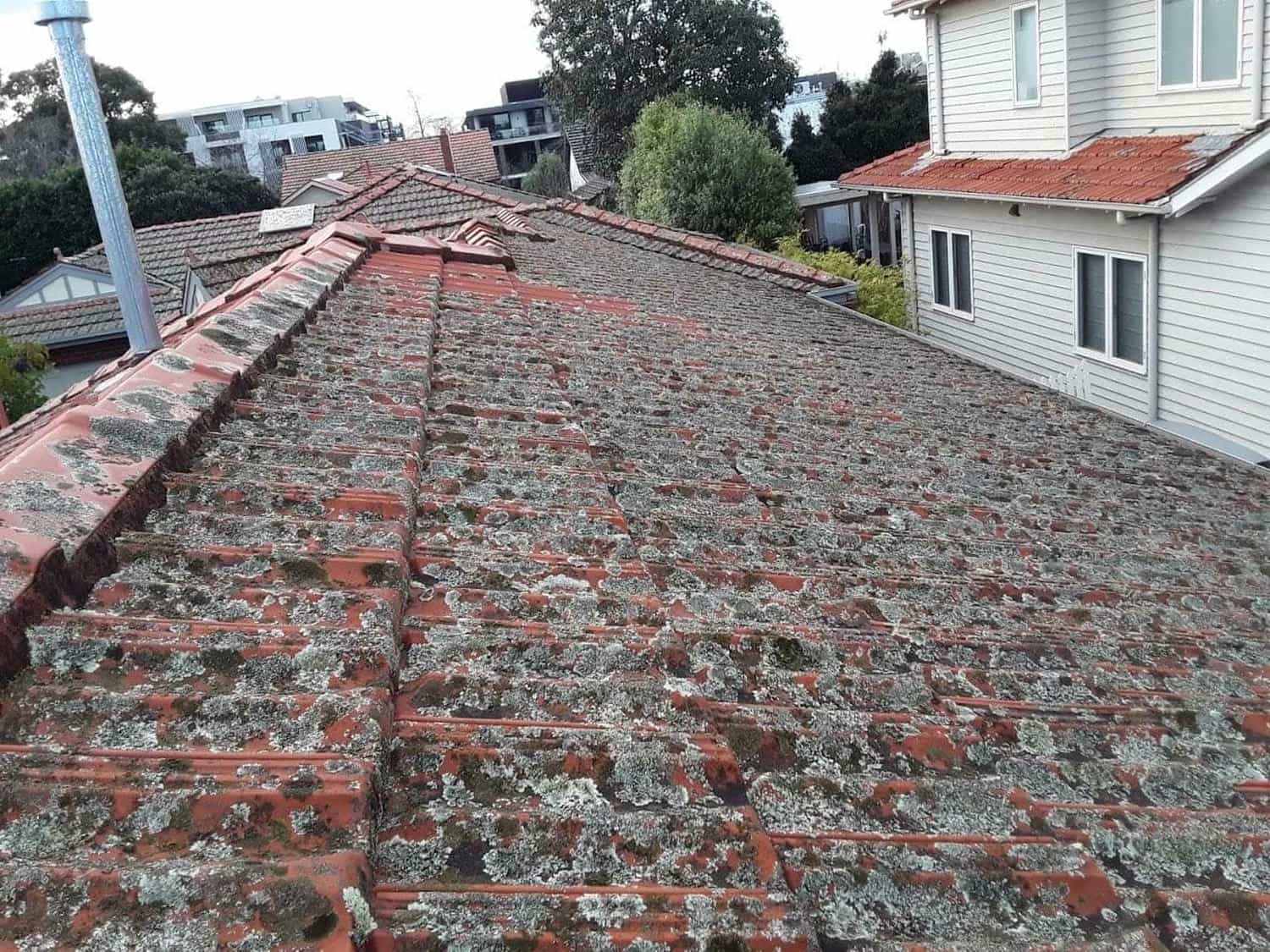 Terracotta roof restoration project photo in Malvern East