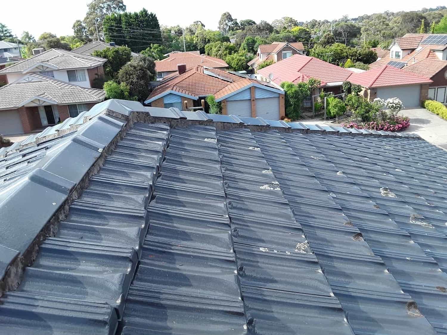 Terracotta roof restoration project photo in Mitcham