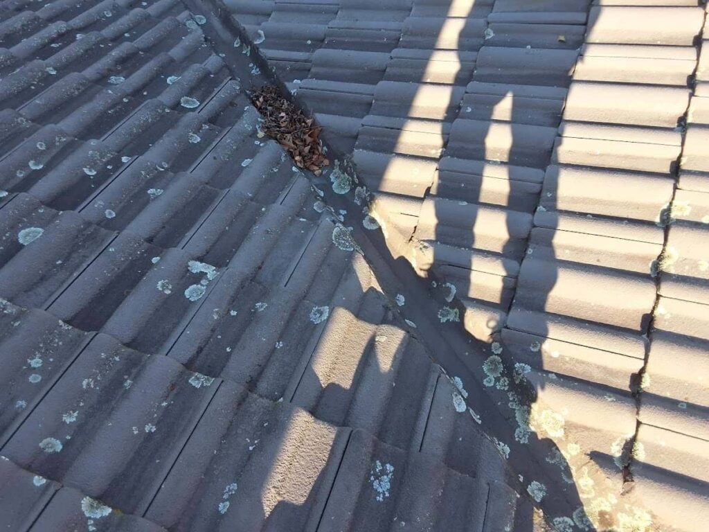 Roofing project photo in Pressure Wash Surrey Hills