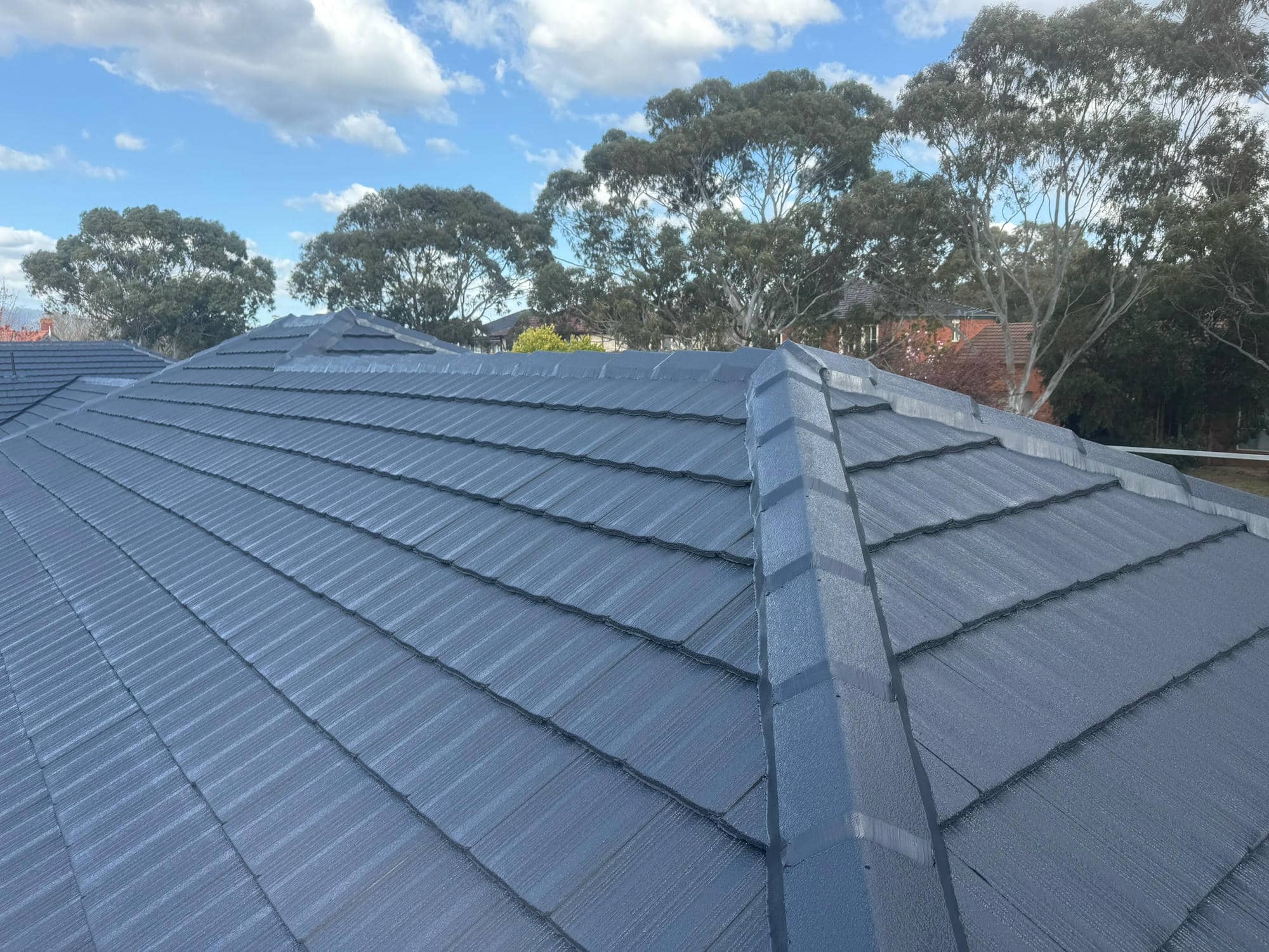 Roof restoration project photo in Wantirna South