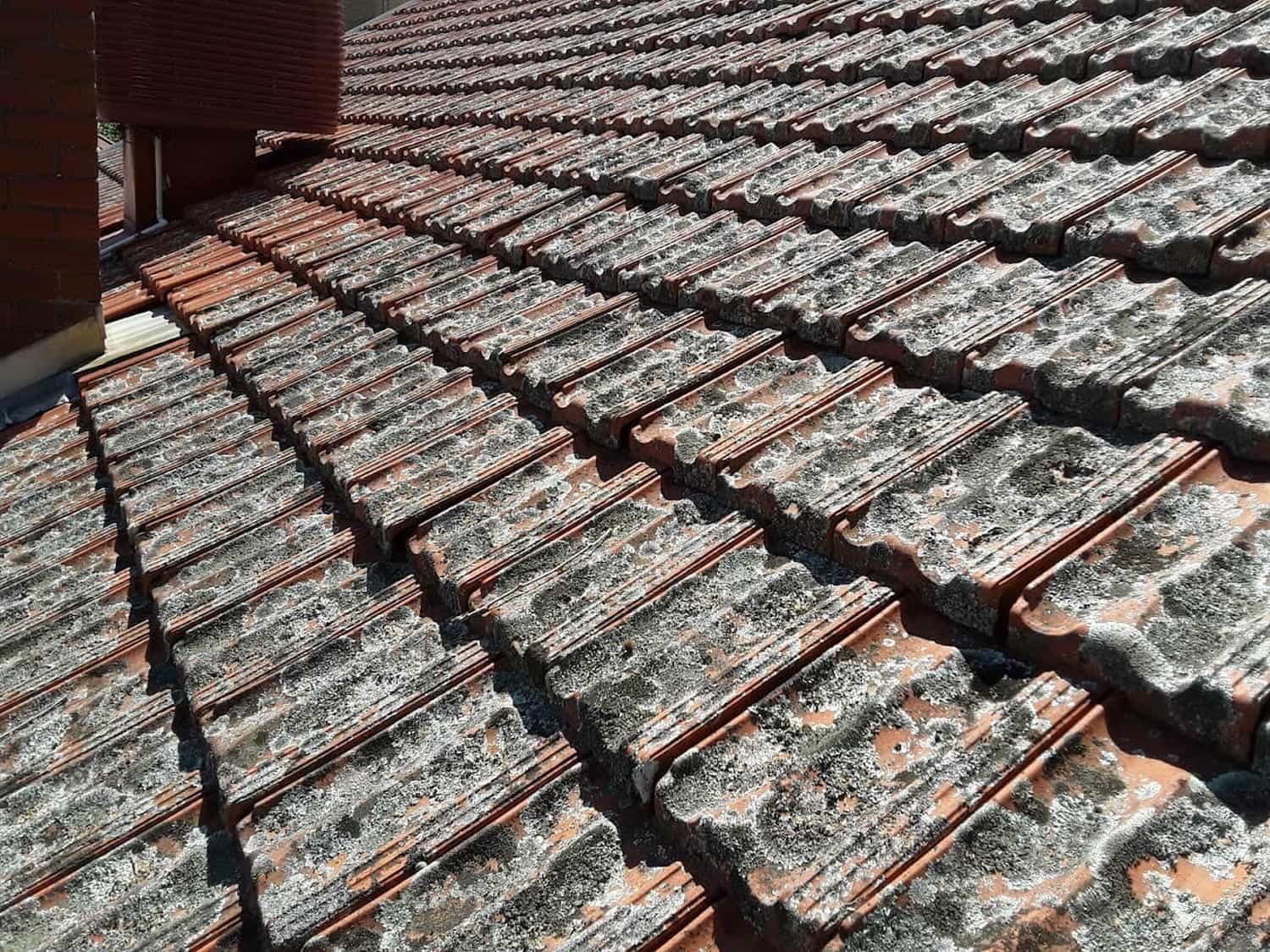 Terracotta roof restoration project photo in Kilda East