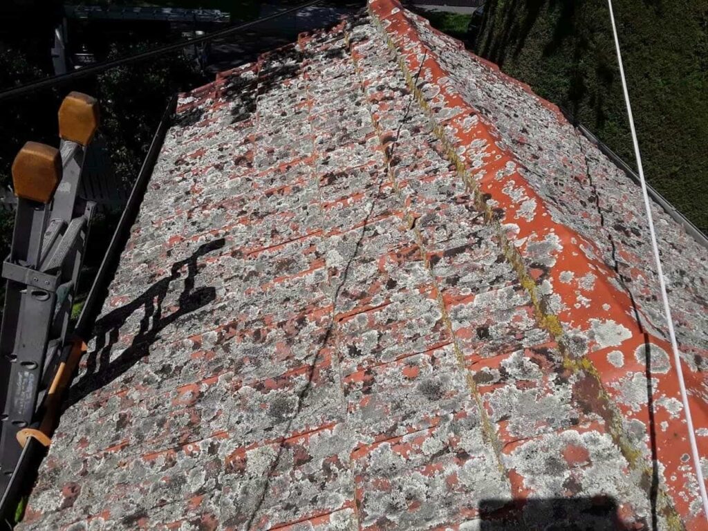 Terracotta roof restoration project photo in Kilda East