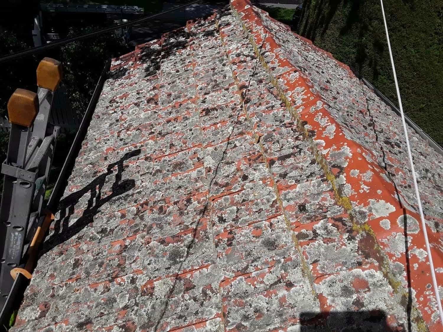 Terracotta roof restoration project photo in Kilda East