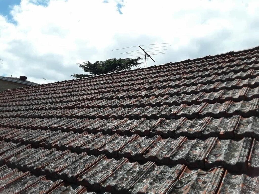 Terracotta roof restoration project photo in Kilda East