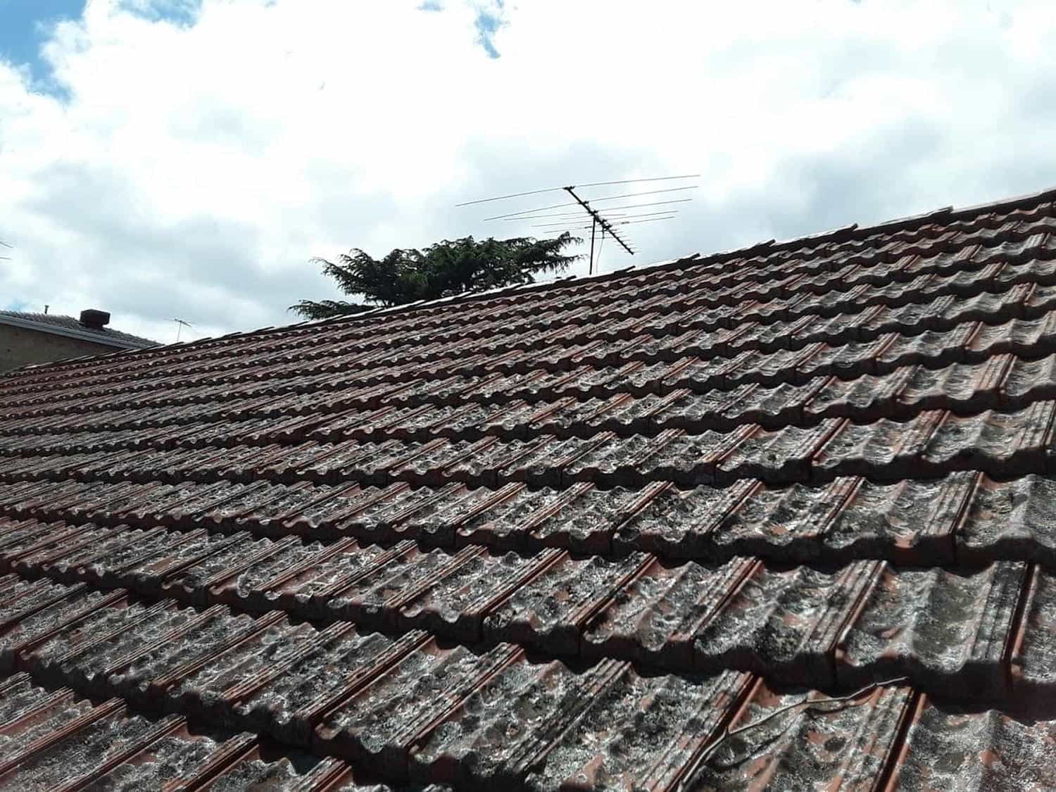 Terracotta roof restoration project photo in Kilda East