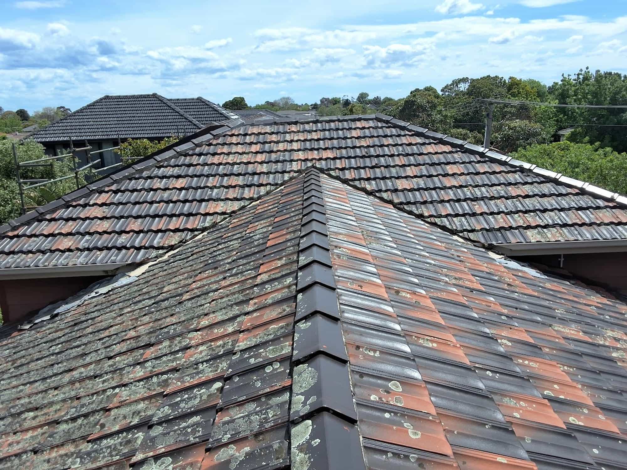 Terracotta roof restoration in Oakleigh — photo 1
