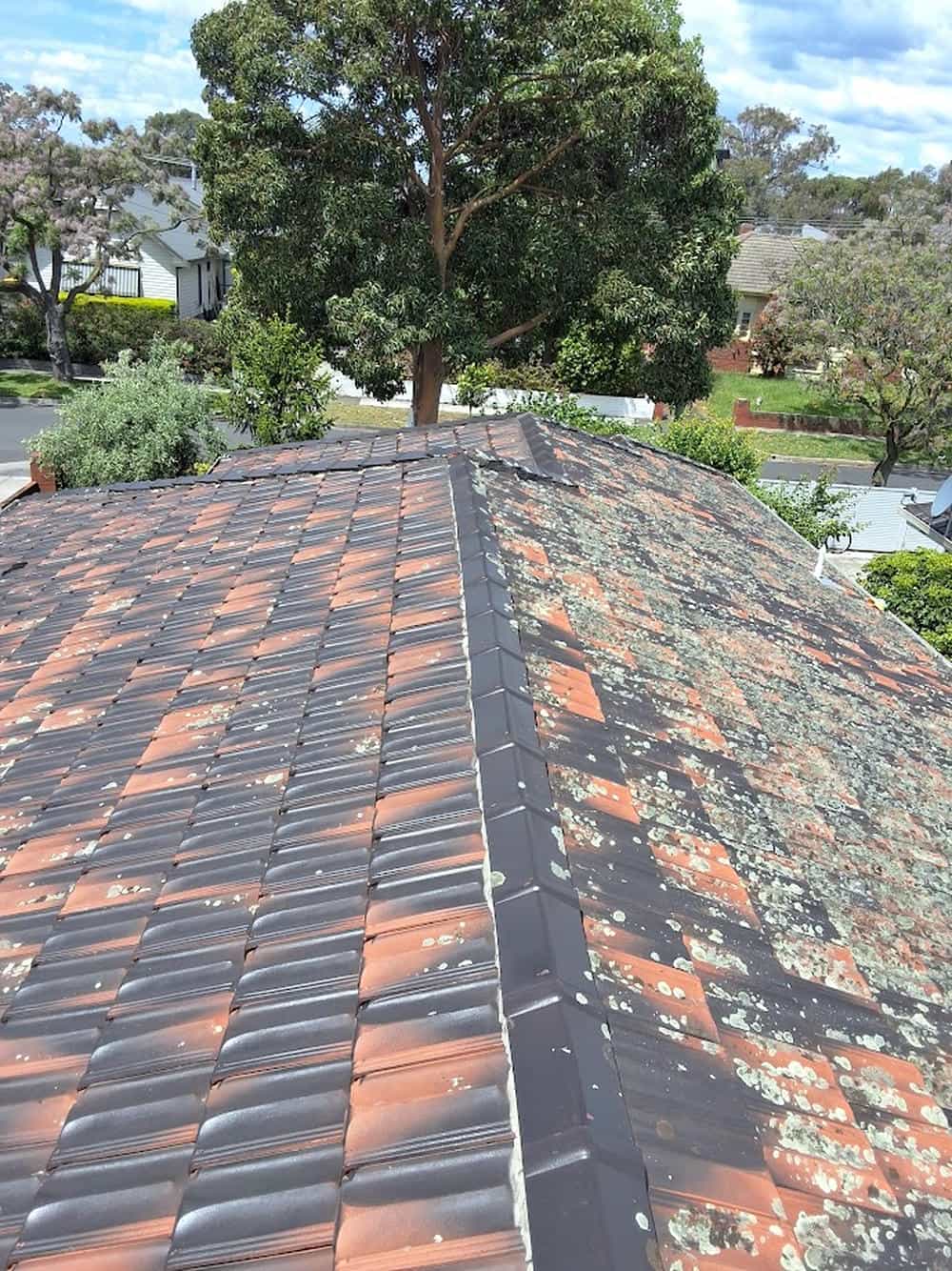 Terracotta roof restoration in Oakleigh — photo 2