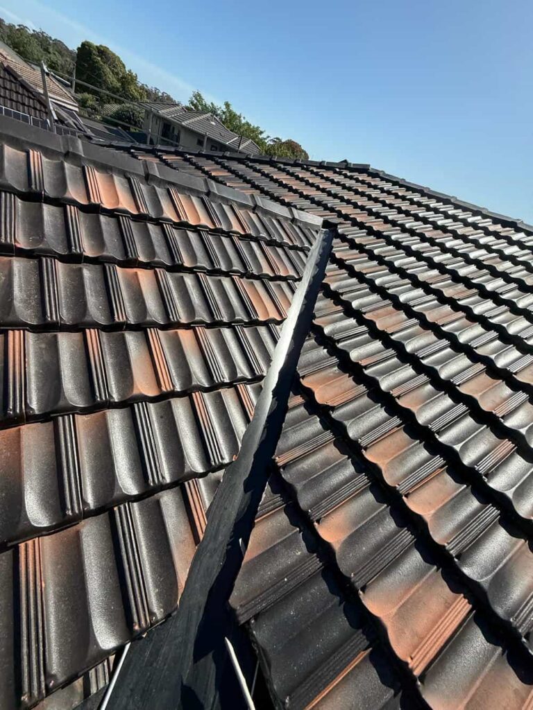 Terracotta roof restoration in Oakleigh — photo 6