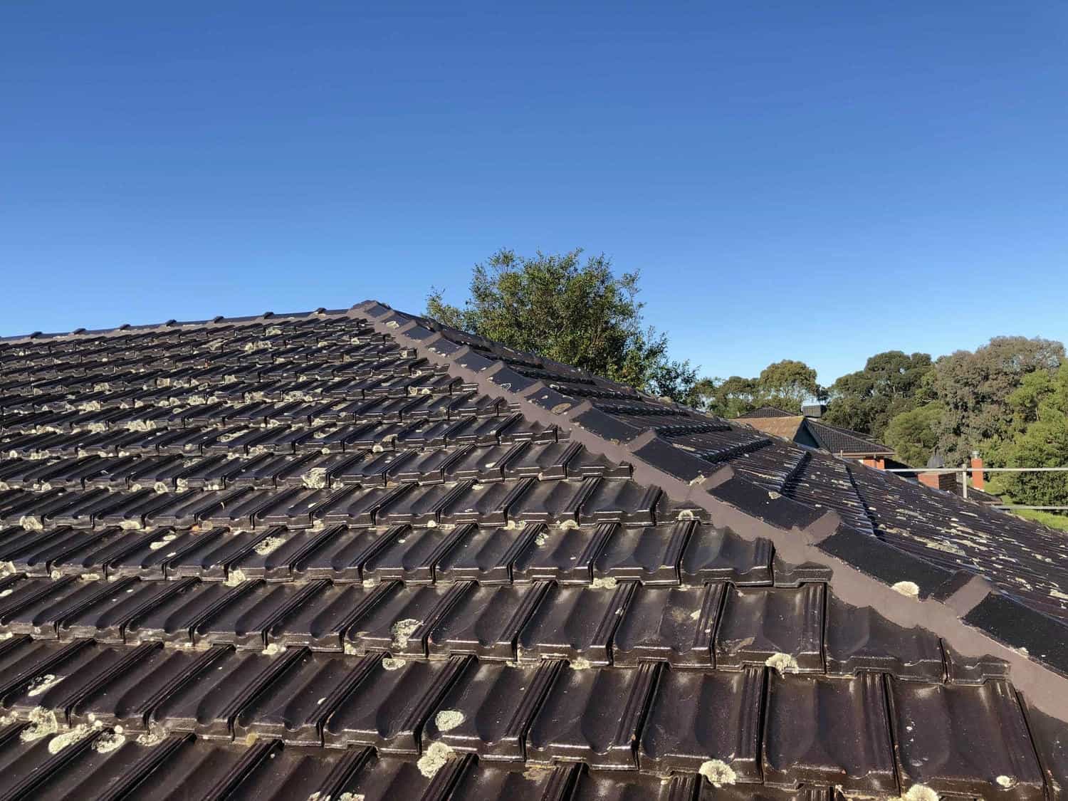 Roofing project photo in Wheelers Hill
