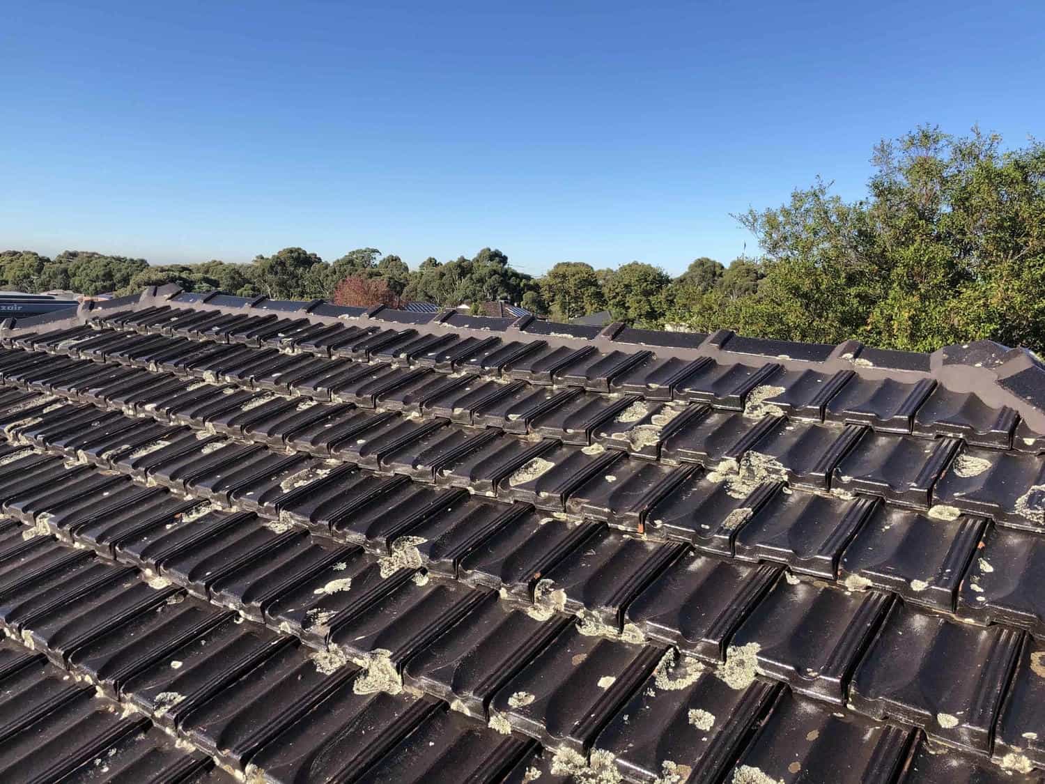 Roofing project photo in Wheelers Hill