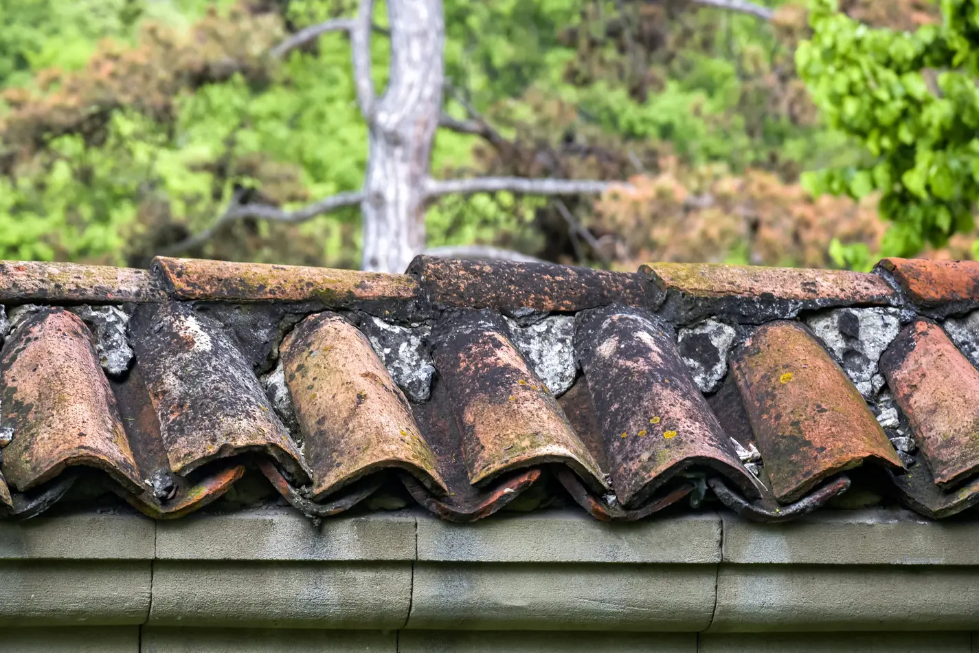 Weathered, moss covered roof tiles